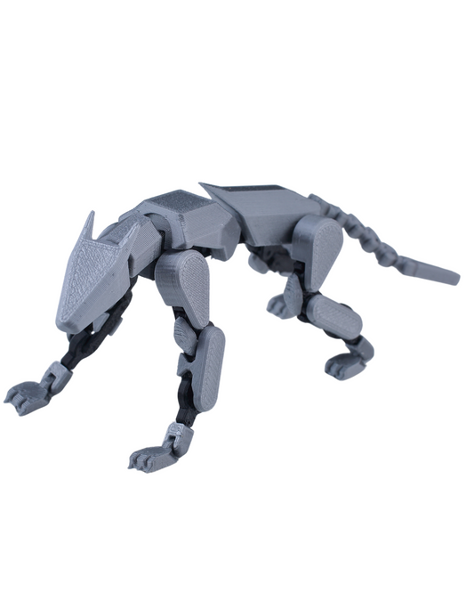 Doggy 13